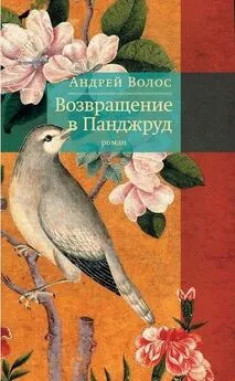 Андрей Волос - Возвращение в Панджруд