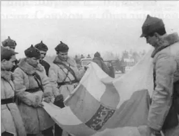 К исходу первой декады марта ситуация сложившаяся для финнов на фронте - фото 147