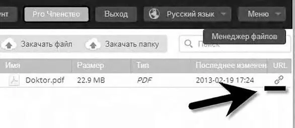 В следующем окне есть два варианта отправки файла В зашифрованном виде и с - фото 201