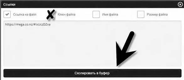 Затем отдельно отправляем укороченную без ключа скопированную ссылку - фото 203