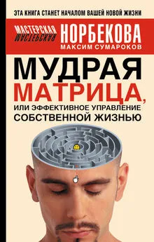 Максим Сумароков - Мудрая матрица, или Эффективное управление собственной жизнью