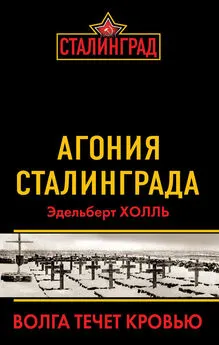 Эдельберт Холль - Агония Сталинграда. Волга течет кровью