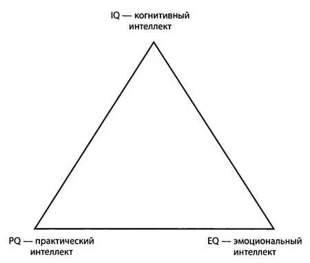 Схема 8 Виды интеллекта Для меня самое яркое доказательство независимости - фото 36