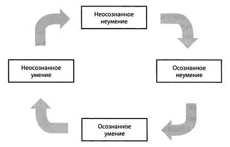 Схема 12 Стадии приобретения опыта 1 Стадия неосознанного неумения Если вы - фото 42