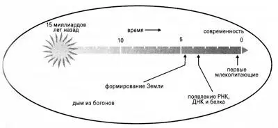 А человекто тоже млекопитающее и того позже появился всего два с - фото 1