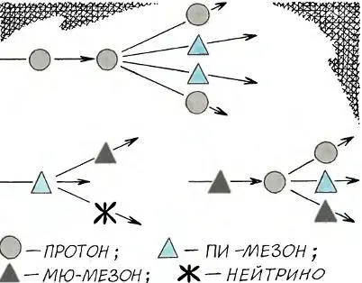 Была еще седьмая частица нейтрино Точнее гипотеза о частиценевидимке - фото 10