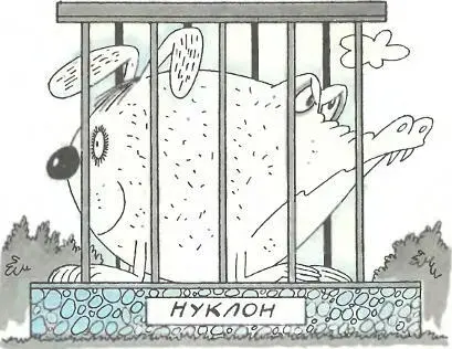 Можно сказать что у нуклона два лица одно протонное другое нейтронное - фото 12