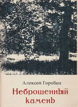 Алексей Горобец - Неброшенный камень