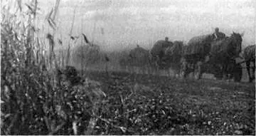 Немецкий обоз едет мимо пшеничного поля Богатый урожай 1941 г убирать было - фото 50