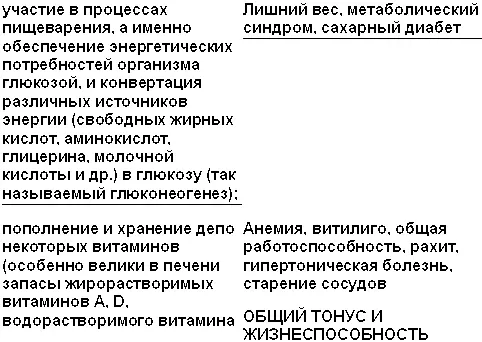 Печень орган очень чувствительный к заботе Известно что гепатоциты клетки - фото 1