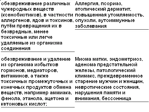 Печень орган очень чувствительный к заботе Известно что гепатоциты клетки - фото 2