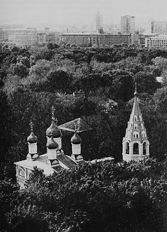 Церковь святых правоверных апостолов Петра и Павла на Кулижках у Яузских - фото 107