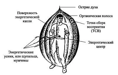 Рис 9 Второй духовный двойник энергетическая капля мужчины Человек живет в - фото 14