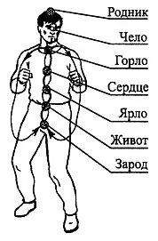 Рис 10 Обычная циркуляция энергии по телу Особое значение для - фото 15
