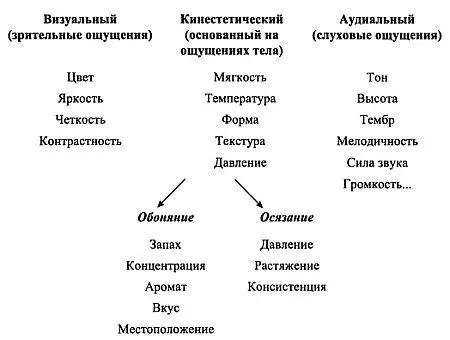 От преобладания того или иного канала восприятия зависит словарный состав речи - фото 21