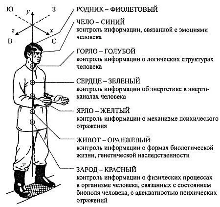 Рис 45 Психофизическое стимульное пространство Центр горло нуждается в - фото 60