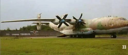 Знаменитый попугай единственный камуфлированный Ан22 - фото 72