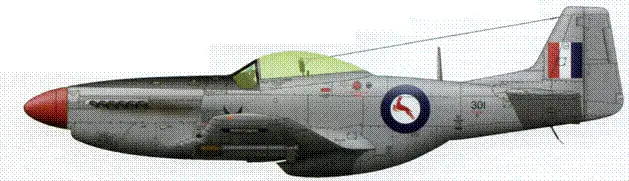 F51D из состава 2й эскадрильи южноафриканских BBQ Аэродром К13 район - фото 78