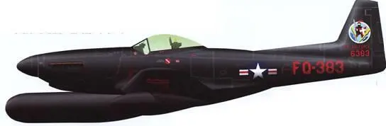 F82G лейтенанта Уильяма Хадсона из состава 68й эскадрильи всепогодных - фото 93