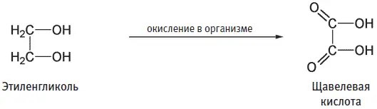 Щавелевая кислота содержится во многих растениях в том числе в таких съедобных - фото 58