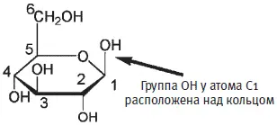 Структура βглюкозы Структура αглюкозы Разница между β и αглюкозой может - фото 64