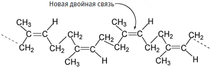 Фрагмент структуры природной резины При соединении молекул изопрена образуются - фото 136