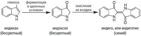 Индиго было очень ценным веществом однако самым дорогостоящим среди всех - фото 146