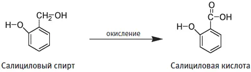 Эти молекулы напоминают по структуре изоэвгенол эвгенол и цингерон входящие в - фото 167