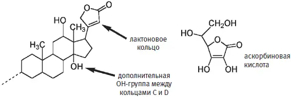 Несахарная часть молекулы дигоксина Стрелки указывают на дополнительную - фото 207