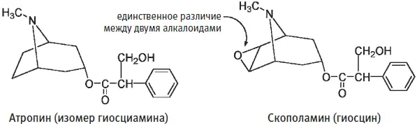 Скополамин в сочетании с морфином используется в анестезии для достижения - фото 210
