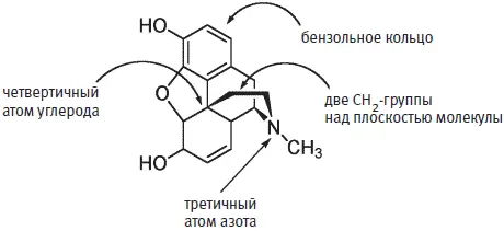 Структура морфина и ее соответствие морфиновому правилу которое обеспечивает - фото 224