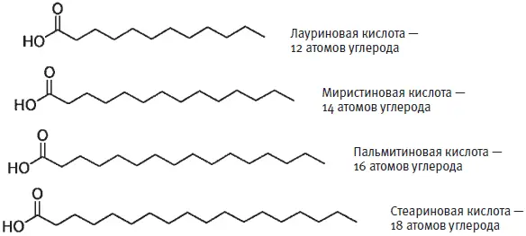 Как следует из названий основным источником стеариновой кислоты является - фото 243