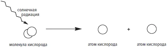Атомы кислорода погружаются в озоновый слой и каждый взаимодействует с - фото 263