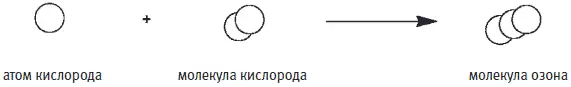 Внутри озонового слоя молекулы озона распадаются под действием - фото 264