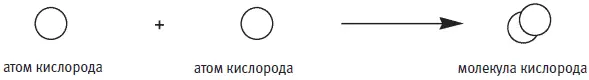 Таким образом в озоновом слое происходит постоянное образование и расщепление - фото 266