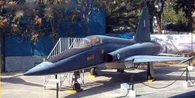 Американский многоцелевой истребитель F5A Американский - фото 110