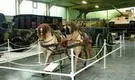 В одном из залов музея Демонстрационное действующее шасси полугусеничного - фото 61