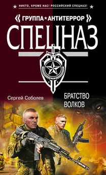 Сергей Соболев - Братство волков