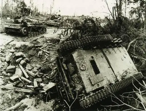 Разгромленная колонна немецких штурмовых орудий Рижское направление 1944 г - фото 79