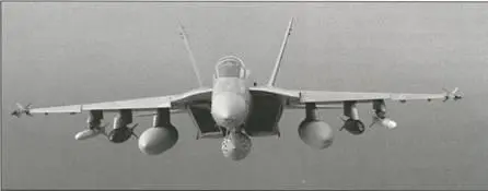 FA18E блок II Вместо разведывательного контейнера AAS38 Найт Хок в БРЭО - фото 86