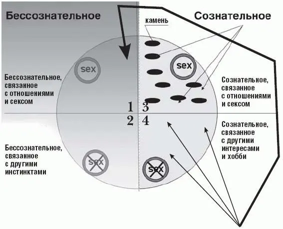 Мы обходим сознательные комплексы убеждения и страхи в области секса и - фото 13