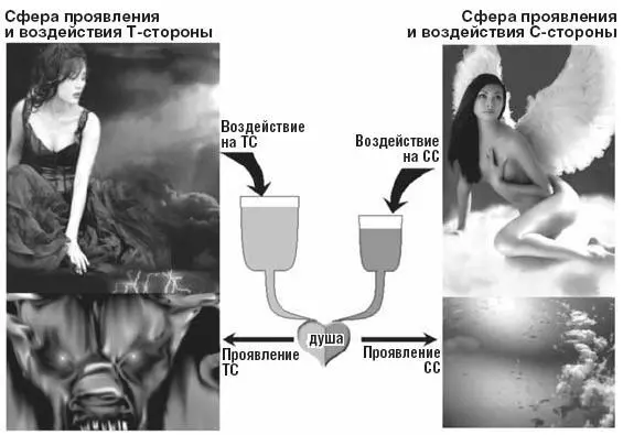 Эти сосуды по вместимости бывают разные У одной женщины сосуд Темной стороны - фото 16