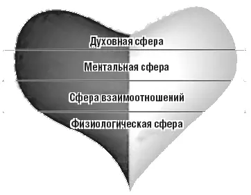 1 Человек и его тело физиологическая сфера проявления ТиСС 2 Человек и его - фото 17