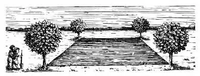 1 Пруд Имеется квадратный пруд рис 1 По углам его близ самой воды - фото 17