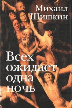 Михаил Шишкин - Всех ожидает одна ночь. Записки Ларионова