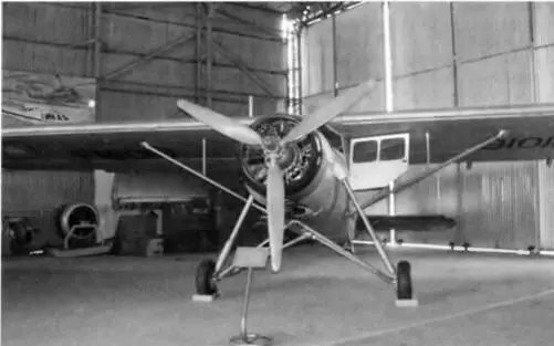 Легкий санитарный самолет Single Pioneer В этом же ангаре стоит британский - фото 114