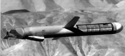 Американская крылатая ракета Томагавк Выбор торпедного типоразмера - фото 94