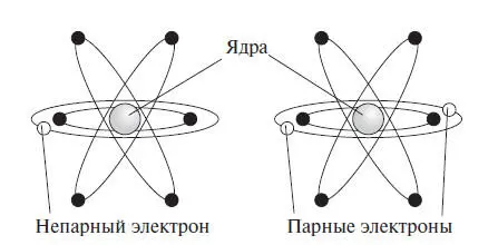 Рис 3Свободные радикалы это молекулярные частицы имеющие непарный электрон - фото 3