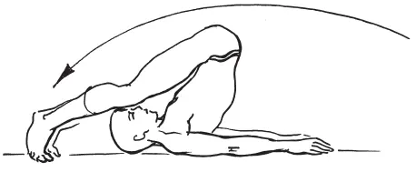 Рис 72 Упражнение Плуг Поза Березка стойка на плечах Лежа на спине - фото 97
