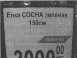 Чудодерево Из чего же тогда они делают колбасу Твердый мальчик Boria в - фото 59